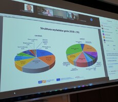 Videokonferenci s názvem "Přeshraniční administrativní problémy"